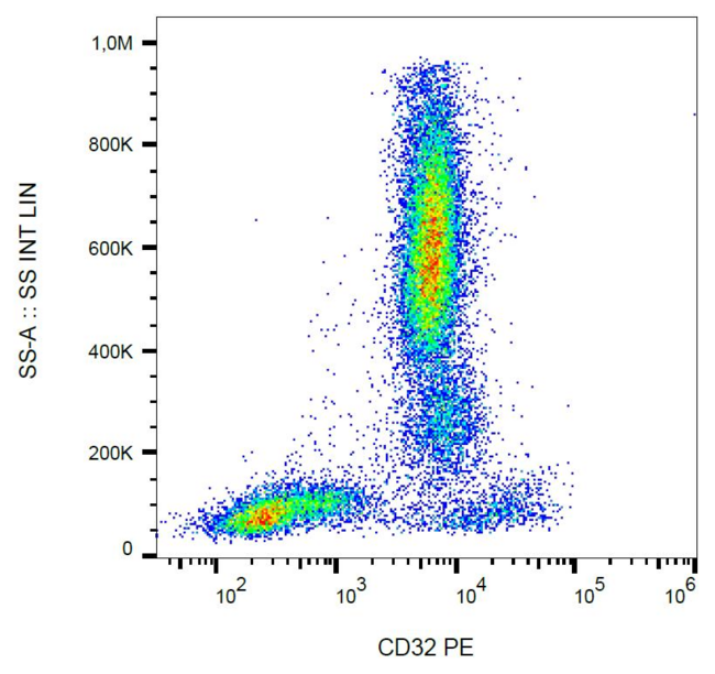 CD32A Antibody - Surface staining of human peripheral blood with anti-human CD32 (3D3) PE.