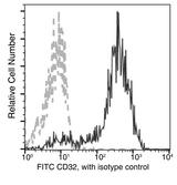 CD32B Antibody - Flow cytometric analysis of Cynomolgus CD32 expression on Cynomolgus monocytes. Cells were stained with FITC-conjugated anti-CD32. The fluorescence histograms were derived from gated events with the forward and side light-scatter characteristics of viable monocytes.