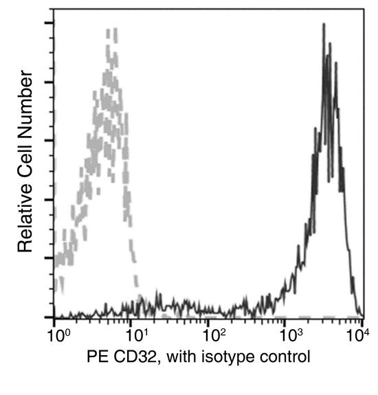 CD32B Antibody - Flow cytometric analysis of Cynomolgus CD32 expression on Cynomolgus monocytes. Cells were stained with PE-conjugated anti-CD32. The fluorescence histograms were derived from gated events with the forward and side light-scatter characteristics of viable monocytes.