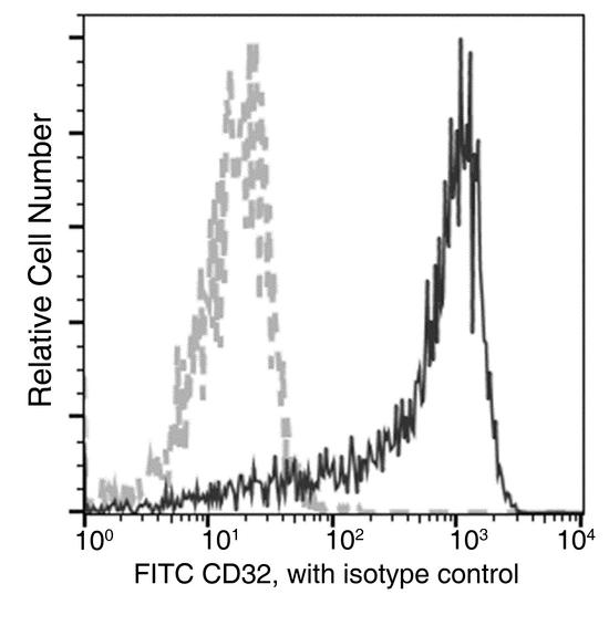 CD32B Antibody - Flow cytometric analysis of Cynomolgus CD32 expression on Cynomolgus monocytes. Cells were stained with FITC-conjugated anti-CD32. The fluorescence histograms were derived from gated events with the forward and side light-scatter characteristics of viable monocytes.