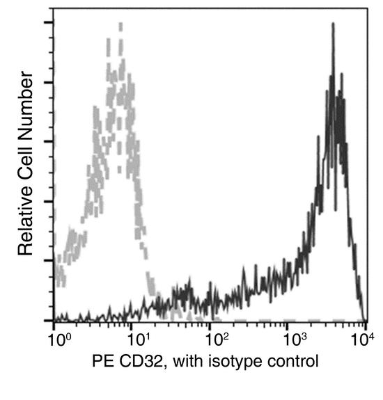 CD32B Antibody - Flow cytometric analysis of Cynomolgus CD32 expression on Cynomolgus monocytes. Cells were stained with PE-conjugated anti-CD32. The fluorescence histograms were derived from gated events with the forward and side light-scatter characteristics of viable monocytes.