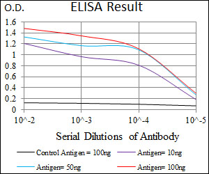 CD33 Antibody - Red: Control Antigen (100ng); Purple: Antigen (10ng); Green: Antigen (50ng); Blue: Antigen (100ng);