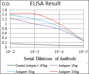 CD33 Antibody - Red: Control Antigen (100ng); Purple: Antigen (10ng); Green: Antigen (50ng); Blue: Antigen (100ng);