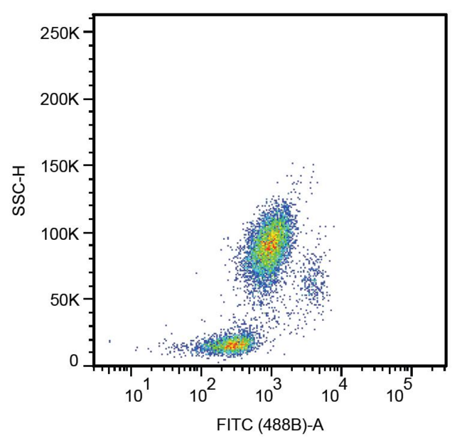 CD33 Antibody - Surface staining of human peripheral blood leukocytes with anti-human CD33 (HIM3-4) FITC.