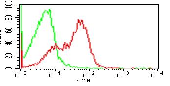 CD33 Antibody - Fig-1: Cell Surface flow analysis of hCD33 in PBMC using 0.5 µg/10^6 cells. Green represents isotype control; red represents anti-hCD33 antibody. Goat anti-mouse PE conjugated secondary antibody was used.