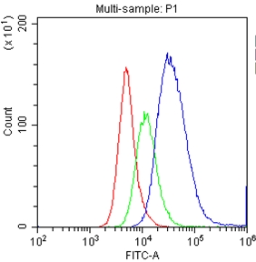 CD34 Antibody - Flow Cytometry analysis of Raji cells using anti-CD34 antibody. Overlay histogram showing Raji cells stained with anti-CD34 antibody (Blue line). The cells were blocked with 10% normal goat serum. And then incubated with rabbit anti-CD34 Antibody (1µg/1x106 cells) for 30 min at 20°C. DyLight®488 conjugated goat anti-rabbit IgG (5-10µg/1x106 cells) was used as secondary antibody for 30 minutes at 20°C. Isotype control antibody (Green line) was rabbit IgG (1µg/1x106) used under the same conditions. Unlabelled sample (Red line) was also used as a control.