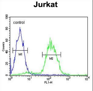 CD34 Antibody - CD34 Antibody flow cytometry of Jurkat cells (right histogram) compared to a negative control cell (left histogram). FITC-conjugated goat-anti-rabbit secondary antibodies were used for the analysis.