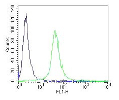 CD34 Antibody - Flow Cytometry analysis of paraformaldehyde fixed Jurkat using CD34-T antibody at 10ug/ml in green and negative control goat IgG at 0.1mg/ml in blue. Detected by Alexa Fluor®488.
