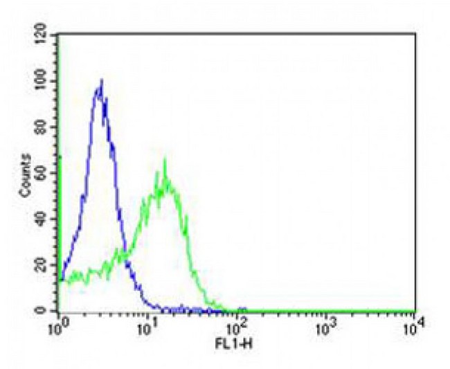 CD34 Antibody - Flow cytometric of HT-29 cells using CD34 Antibody (green, Cat#) compared to an isotype control of rabbit IgG(blue). was diluted at 1:25 dilution. An Alexa Fluor 488 goat anti-rabbit lgG at 1:400 dilution was used as the secondary antibody.