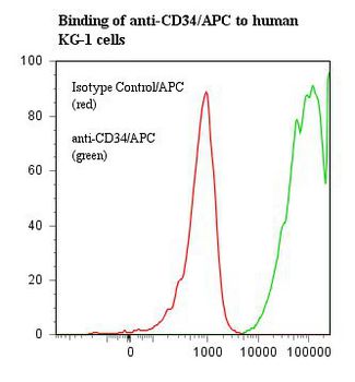 CD34 Antibody - Flow cytometry of CD34 antibody This image was taken for the unconjugated form of this product. Other forms have not been tested.