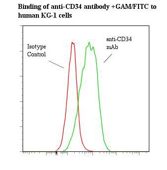 CD34 Antibody - Flow cytometry of CD34 antibody This image was taken for the unmodified form of this product. Other forms have not been tested.