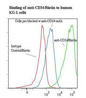 CD34 Antibody - Flow cytometry of CD34 antibody This image was taken for the unconjugated form of this product. Other forms have not been tested.