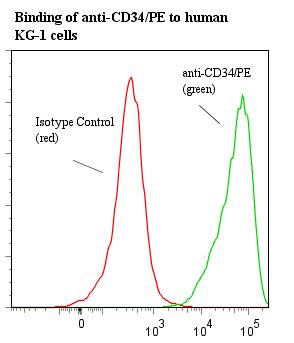 CD34 Antibody - Flow cytometry of CD34 antibody This image was taken for the unconjugated form of this product. Other forms have not been tested.