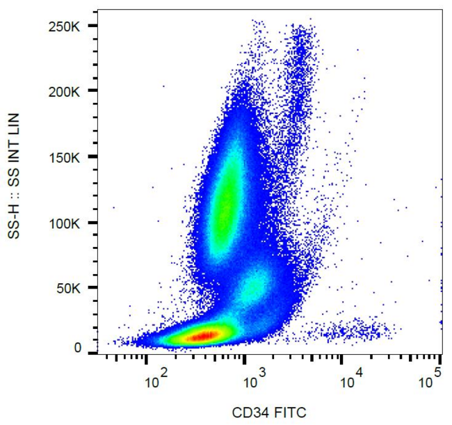 CD34 Antibody - Surface staining of CD34+ cells in human peripheral blood with anti-CD34 (581) FITC.