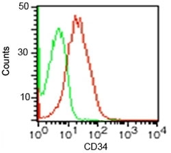 CD34 Antibody - FACS testing of human KG-1 cells with isotype control (green) and CD34 antibody (red).  This image was taken for the unmodified form of this product. Other forms have not been tested.