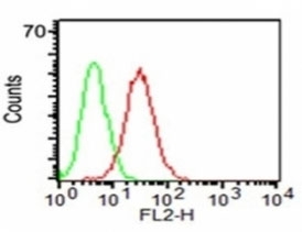 CD34 Antibody - Flow cytometry testing of KG-1 cells using anti-CD34 antibody (red) and isotype control (green).  This image was taken for the unmodified form of this product. Other forms have not been tested.