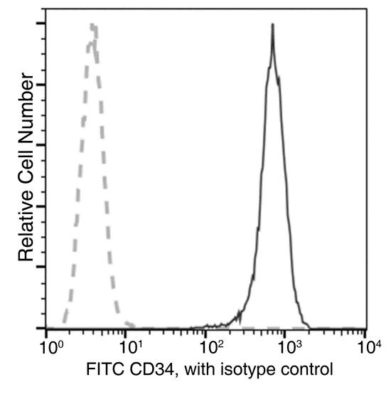CD34 Antibody - Flow cytometric analysis of Human CD34 expression on KG-1 cells. Cells were stained with FITC-conjugated anti-Human CD34. The fluorescence histograms were derived from gated events with the forward and side light-scatter characteristics of intact cells.