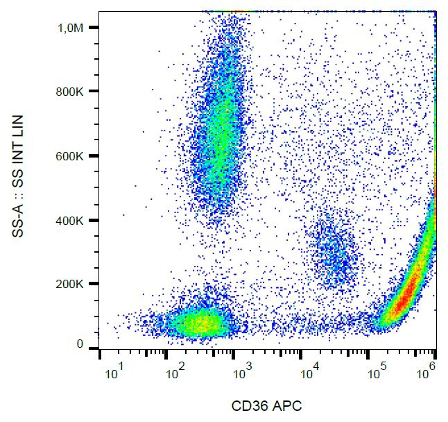 CD36 Antibody - Surface staining of CD36 in human peripheral blood with anti-CD36 (CB38) APC.