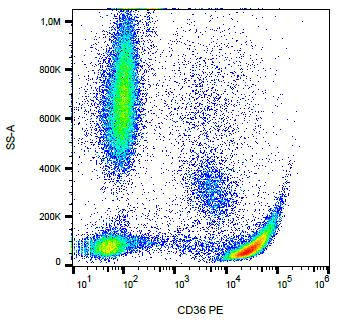 CD36 Antibody - Surface staining of CD36 in human peripheral blood with anti-CD36 (CB38) PE.
