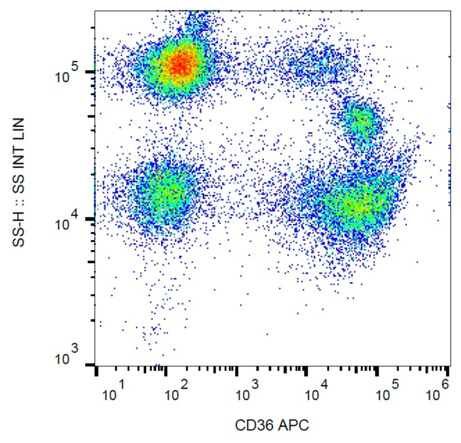 CD36 Antibody - Surface staining of human peripheral blood with anti-CD36 (TR9) APC.