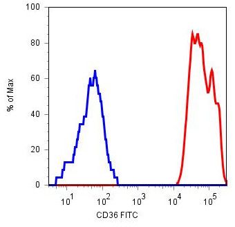 CD36 Antibody - CD36 Antibody in Flow Cytometry (Flow)