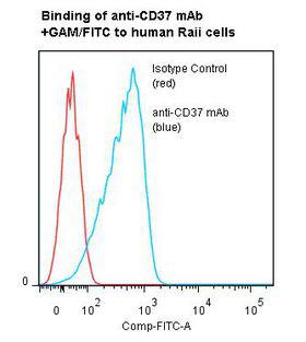 CD37 Antibody - Flow cytometry of CD37 antibody This image was taken for the unmodified form of this product. Other forms have not been tested.