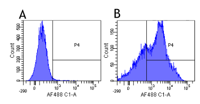 CD38 Antibody - Flow-cytometry on human lymphocytes.