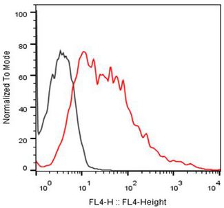 CD38 Antibody - Flow cytometric analysis of CHO-K1/Human CD38 stable cell line expressing CD38 and CHO negative control cell (Black) binding with Human CD38 Antibody (38.F2) , Antibody working concentration: 5 µg/ml, 2.5x105 cells/reaction, The signal was developed with iFluor647 conjugated Goat Anti-Mouse IgG.