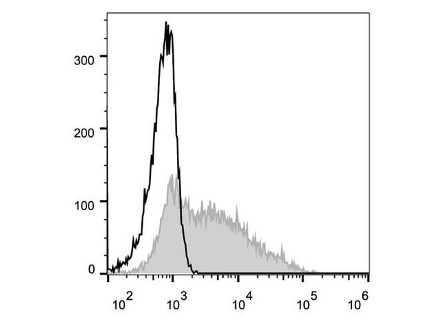 CD38 Antibody