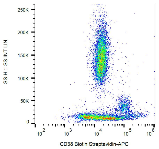 CD38 Antibody - Surface staining of human peripheral blood with anti-human CD38 (HIT2) biotin / streptavidin-APC. 