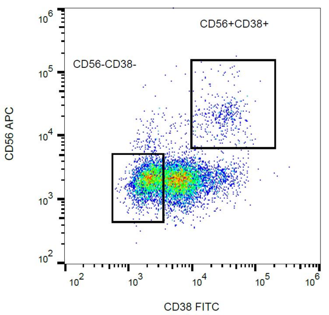 CD38 Antibody - Surface staining of human peripheral blood with anti-human CD38 (HIT2) FITC. 