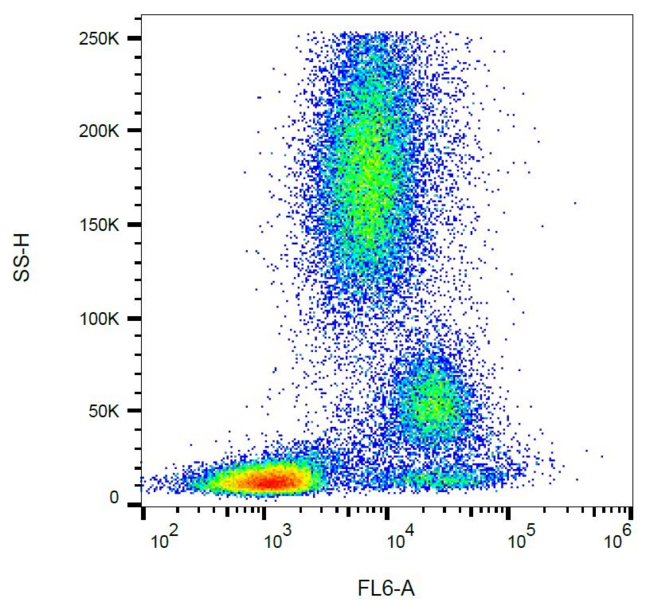 CD39 Antibody - Surface staining of CD39 in human peripheral blood with anti-CD39 (TU66) purified, GAM-APC.
