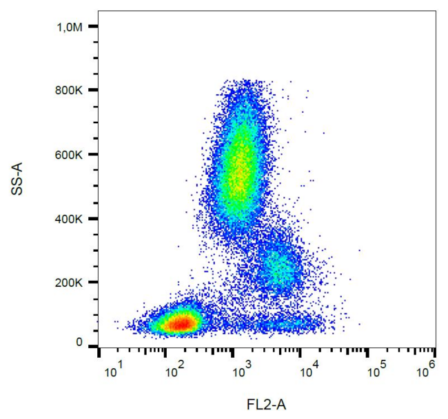 CD39 Antibody - Surface staining of CD39 in human peripheral blood with anti-CD39 (TU66) PE.