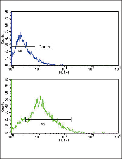 CD3G Antibody - Flow cytometric of HL-60 cells using CD3G Antibody (bottom histogram) compared to a negative control cell (top histogram). FITC-conjugated goat-anti-rabbit secondary antibodies were used for the analysis.