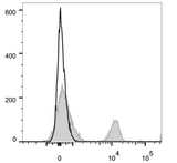 CD4 Antibody