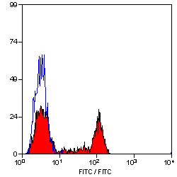 CD4 Antibody - Flow cytometry of canine peripheral blood lymphocytes with Rat anti-Canine CD4: FITC This image was taken for the unconjugated form of this product. Other forms have not been tested.