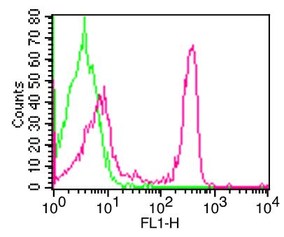 CD4 Antibody - Fig-1: Cell Surface flow analysis of FITC conjugated hCD4 in PBMC (Lymphocytes) using 0.5 µg/10^6 cells. Green represents isotype control; red represents FITC conjugated anti-hCD4 antibody (-F).
