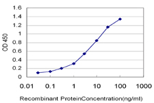 CD40 Antibody - Detection limit for recombinant GST tagged CD40 is approximately 0.1 ng/ml as a capture antibody.