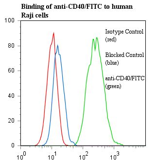 CD40 Antibody - Flow cytometry of CD40 antibody This image was taken for the unconjugated form of this product. Other forms have not been tested.
