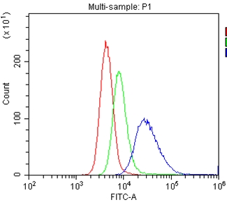 CD40 Antibody - Flow Cytometry analysis of U937 cells using anti-CD40/TNFRSF5 antibody. Overlay histogram showing U937 cells stained with anti-CD40/TNFRSF5 antibody (Blue line). The cells were blocked with 10% normal goat serum. And then incubated with rabbit anti-CD40/TNFRSF5 Antibody (1µg/1x106 cells) for 30 min at 20°C. DyLight®488 conjugated goat anti-rabbit IgG (5-10µg/1x106 cells) was used as secondary antibody for 30 minutes at 20°C. Isotype control antibody (Green line) was rabbit IgG (1µg/1x106) used under the same conditions. Unlabelled sample (Red line) was also used as a control.