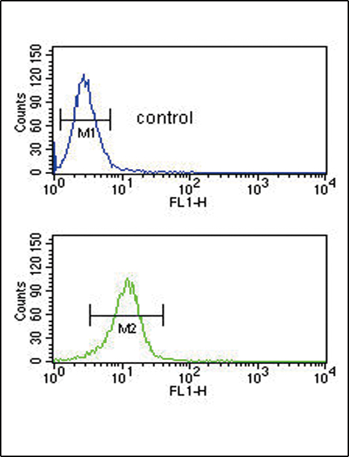 CD40L Antibody - TRAP antibody flow cytometry of NCI-H460 cells (bottom histogram) compared to a negative control cell (top histogram). FITC-conjugated goat-anti-rabbit secondary antibodies were used for the analysis.
