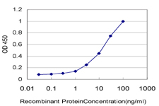 CD40L Antibody - Detection limit for recombinant GST tagged CD40LG is approximately 0.3 ng/ml as a capture antibody.