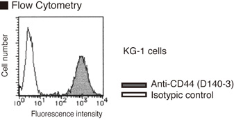 CD44 Antibody