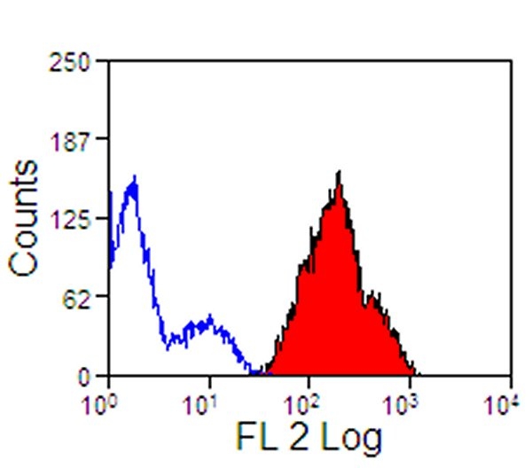 CD44 Antibody - Flow cytometry of equine peripheral blood lymphocytes with Mouse anti-Equine CD44:FITC This image was taken for the unconjugated form of this product. Other forms have not been tested.