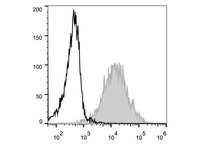 CD44 Antibody