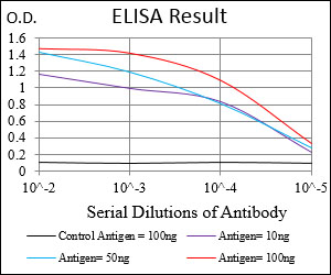 CD45 / LCA Antibody - Red: Control Antigen (100ng); Purple: Antigen (10ng); Green: Antigen (50ng); Blue: Antigen (100ng);