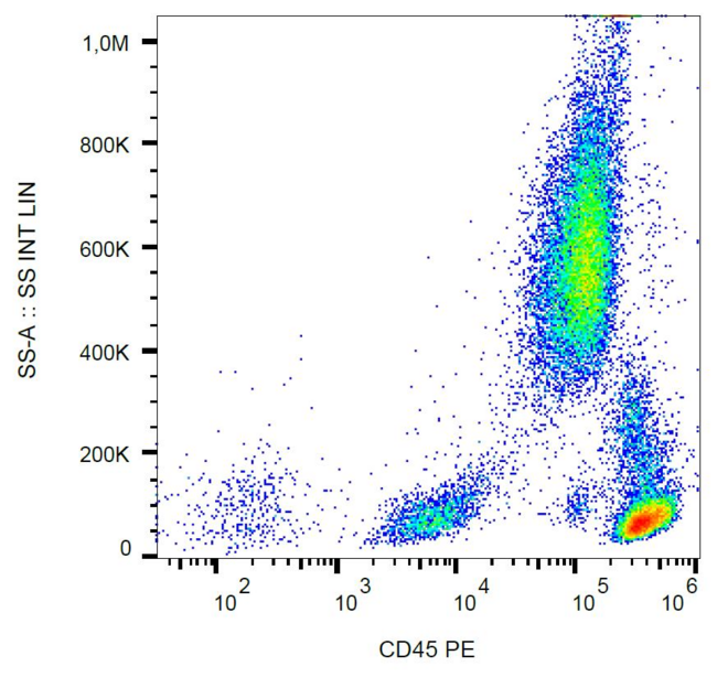 CD45 / LCA Antibody - Surface staining of CD45 in human peripheral blood with anti-CD45 (2D1) PE.