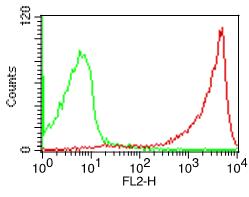 CD45 / LCA Antibody - Fig-1: Cell Surface flow analysis of hCD45R in PBMC (Lymphocyte gated) using 0.5 µg/10^6 cells. Green represents isotype control; red represents anti-hCD45R antibody. Goat anti-mouse PE conjugated secondary antibody was used.