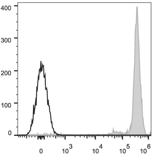 CD45 / LCA Antibody