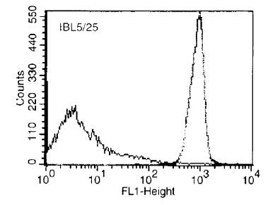 CD45 / LCA Antibody - Flow cytometry of Mesenteric Lymph Node Cells. Percentage of cells stained above control: >95%. This image was taken for the unconjugated form of this product. Other forms have not been tested.